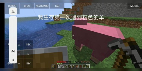 我的世界用什么喂羊