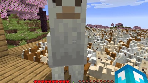 我的世界用什么喂羊[图2]