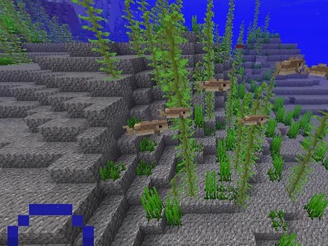 我的世界深海探索者有什么用[图1]