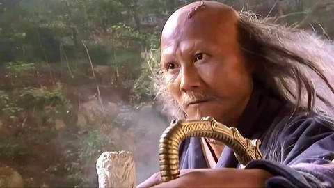 天龙八部光头叫什么[图2]