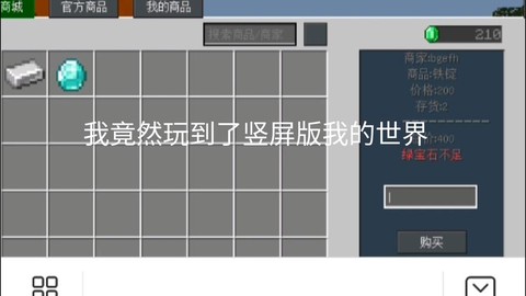 我的世界怎么创服务器手机版[图2]