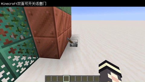 我的世界怎么造活塞门[图2]