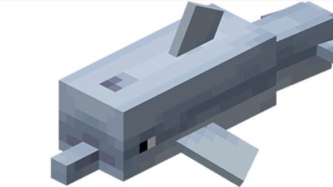 我的世界海豚怎么骑[图2]