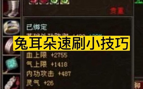 天龙八部兔耳朵怎么做[图2]