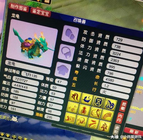 梦幻西游什么是血宠