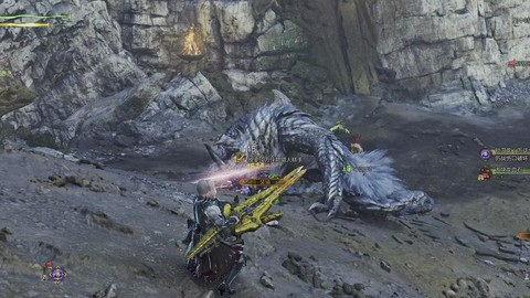 怪物猎人2g什么弩好