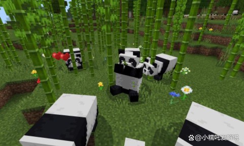 我的世界熊猫怎么驯服