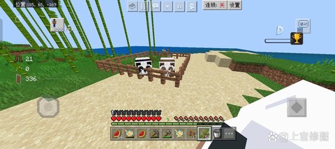 我的世界熊猫怎么驯服[图1]