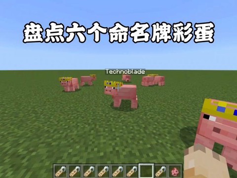 我的世界命名牌怎么用手机版