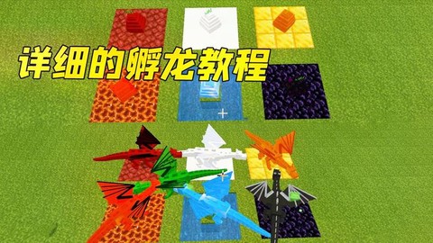 我的世界怎么浮华龙蛋