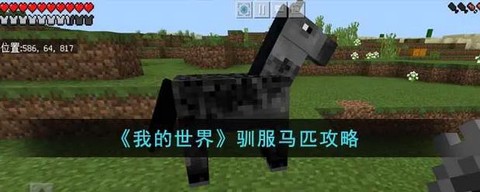 我的世界里怎么驯服马[图1]