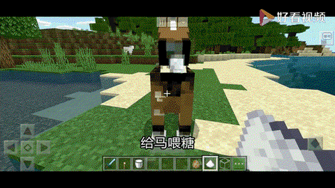 我的世界里怎么驯服马[图2]