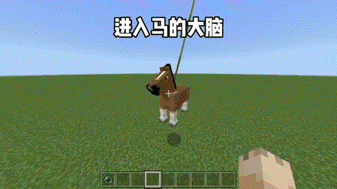 我的世界马绳怎么做[图1]