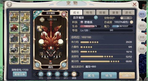 魔域龙骑士带什么宝宝[图1]